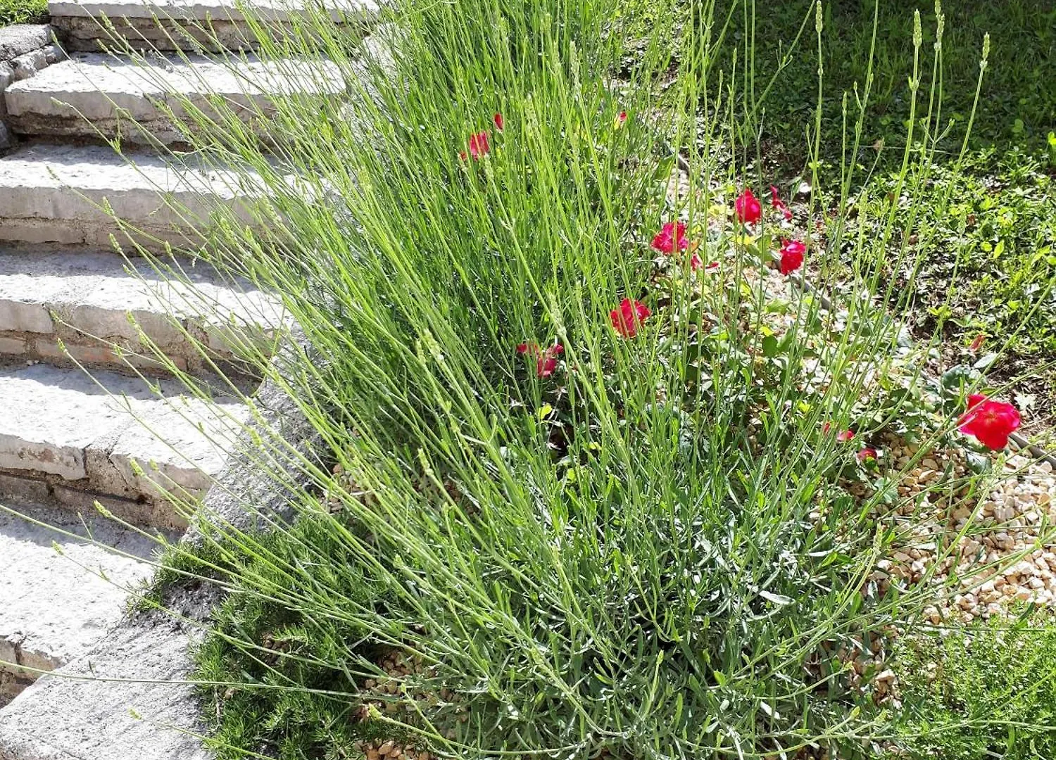 Ferienhaus In Tremosine Sul Garda Mit Privatem Pool Pieve  0*, Pieve (Lombardy)